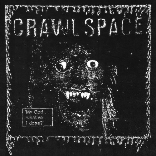 CRAWL SPACE (US/PUNK) / MY GOD... WHAT'VE I DONE? (LP)