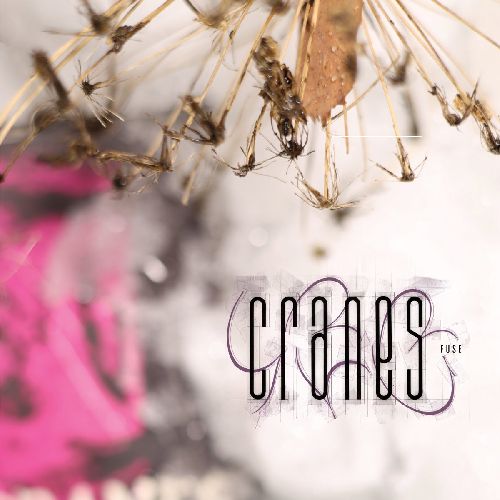 CRANES / クレインズ / FUSE (LP-BLACK)