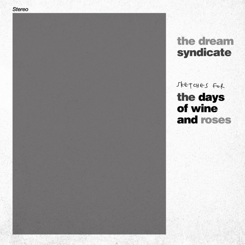 DREAM SYNDICATE / ドリーム・シンジケート / SKETCHES FOR THE DAYS OF WINE AND ROSES