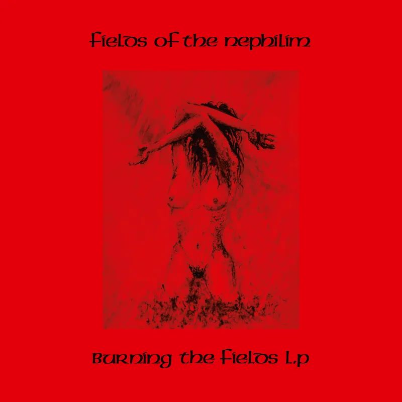 FIELDS OF THE NEPHILIM / フィールズ・オブ・ザ・ネフィリム / BURNING THE FIELDS [2LP] (RED VINYL, LIMITED, INDIE-EXCLUSIVE)