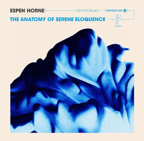 ESPEN HORNE / Anatomy Of Serene Eloquence(LP)
