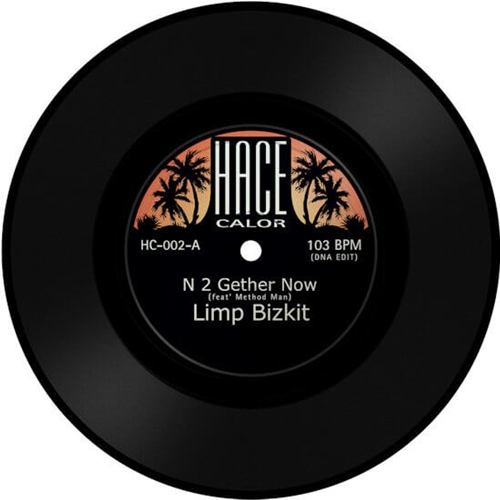 LIMP BIZKIT / リンプ・ビズキット / N 2 GETHER NOW (FEAT. METHOD MAN & DJ PREMIER) 7"