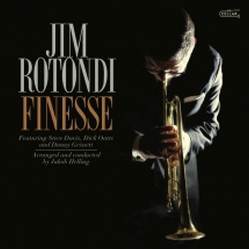 JIM ROTONDI / ジム・ロトンディ / Finesse(LP/180G)