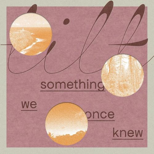 TILT(Isabel Crespo Pardo) / Something We Once Knew(LP)