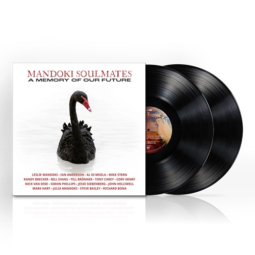 MANDOKI  SOULMATES / マンドキ・ソウルメイツ / A MEMORY OF OUR FUTURE - 180g LIMITED DOUBLE VINYL