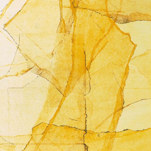 WADADA LEO SMITH / ワダダ・レオ・スミス / Central Park’s Mosaics Of Reservoir, Lake, Paths And Gardens(LP)