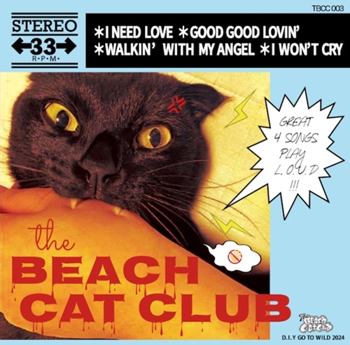 THE BEACH CAT CLUB / D.I.Y GO TO WILD 2024