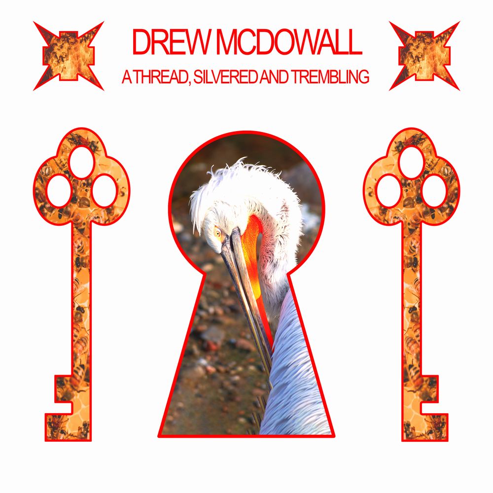 DREW MCDOWALL / A THREAD, SILVERED AND TREMBLING (LP)