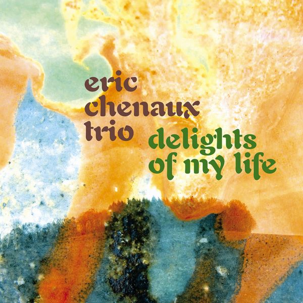 ERIC CHENAUX TRIO / エリック・シュノー・トリオ / DELIGHTS OF MY LIFE (LP - BLACK)