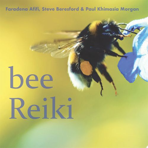 STEVE BERESFORD / Bee Reiki
