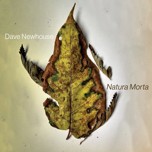 DAVE NEWHOUSE / NATURA MORTA