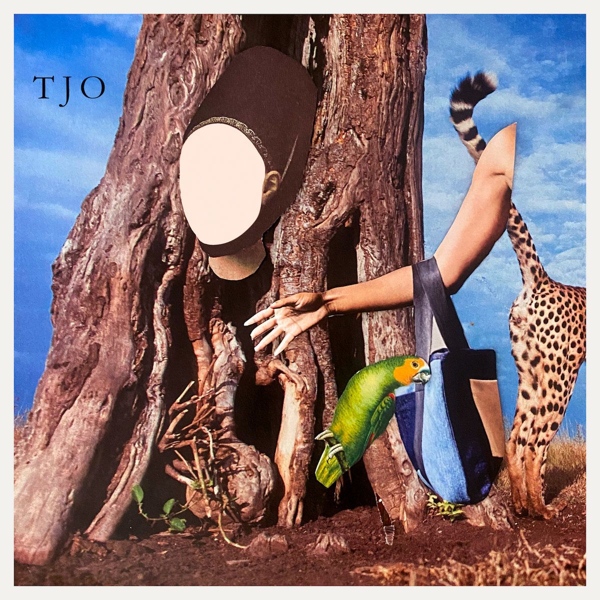 TARA JANE O'NEIL / タラ・ジェイン・オニール / THE COOL CLOUD OF OKAYNESS (LP - COLOUR)