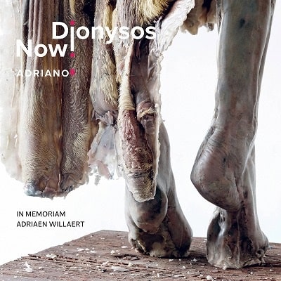 DIONYSOS NOW ! VIENNA / ディオニュソス・ナウ / ADRIANO 5 IN MEMORIAM ADRIAEN WILLAERT