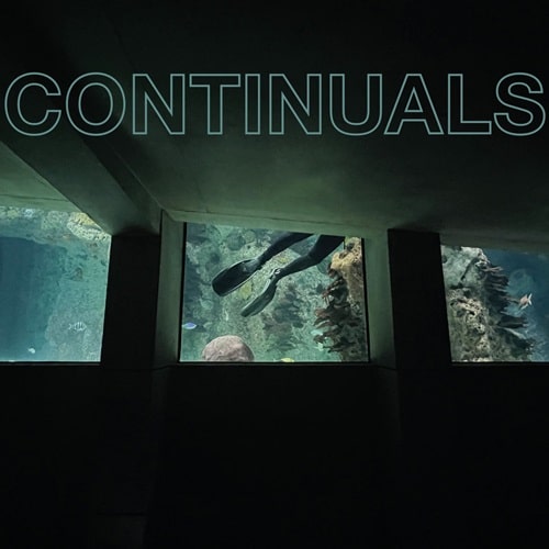 CONTINUALS / CONTINUALS (LP)