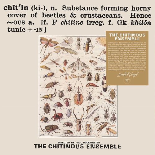 CHITINOUS ENSEMBLE / Chitinous(LP)