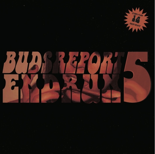 ENDRUN / エンドラン / Budsreport5 "CD-R"