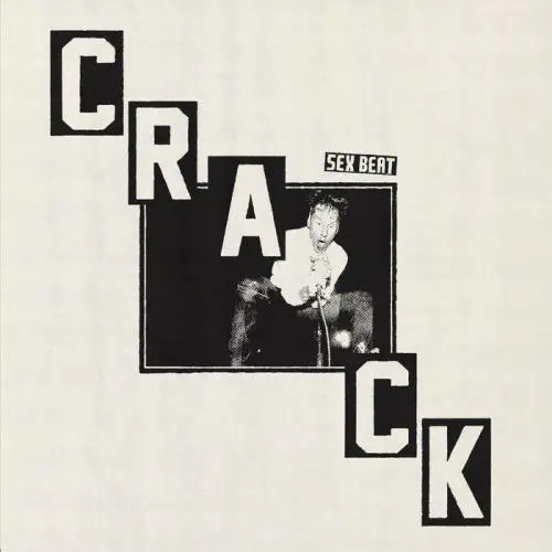 CRACK LP SEX BEAT PUNK ベルリンのポストパンクバンドの25年2ndアルバムPUNKディスクユニオン