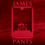 JAMES PANTS / JAMES PANTS アナログ2LP