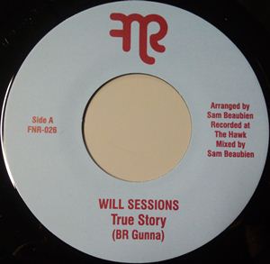 WILL SESSIONS / ウィル・セッションズ / TRUE STORY / DUB ROCK