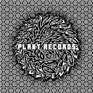 V.A.(PLANT RECORDS V.A. BLACK) / PLANT RECORDS V.A. BLACK