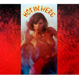 HOT IN HERE / ホット・イン・ヒア / HOT IN HERE