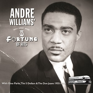 ANDRE WILLIAMS / アンドレ・ウィリアムス / FORTUNE OF HITS (2CD デジパック仕様)