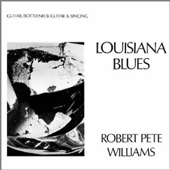 ROBERT PETE WILLIAMS / ロバート・ピート・ウィリアムス / LOUISIANA BLUES / (LP 180G)
