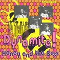 HONEY AND THE BEES / ハニー・アンド・ザ・ビーズ / DYNAMITE!