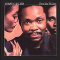 TERRY CALLIER / テリー・キャリアー / TURN YOU TO LOVE