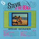 STEVIE WONDER / スティーヴィー・ワンダー / アット・ザ・ビーチ (国内盤 帯 解説付 紙ジャケット仕様 SHM-CD仕様)