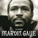 MARVIN GAYE / マーヴィン・ゲイ / THE MASTERS COLLECTION