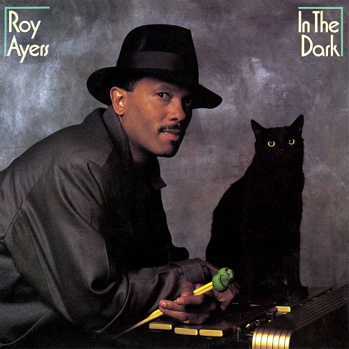 ROY AYERS / ロイ・エアーズ / IN THE DARK (EXPANDED EDITION)
