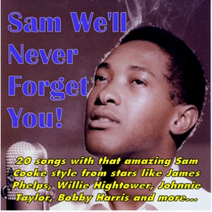 V.A. (SAM WE'LL NEVER FORGET YOU!) / SAM WE'LL NEVER FORGET YOU! (CD-R)