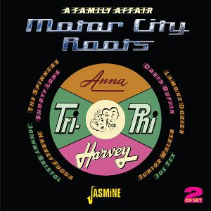 V.A. (FAMILY AFFAIR) / A FAMILY AFFAIR: MOTOR CITY ROOTS (2CD)