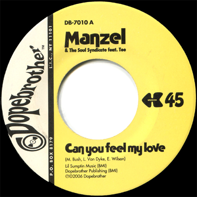 MANZEL & THE SOUL SYNDICATE FEAT. TEE / CAN YOU FEEL MY LOVE (7")