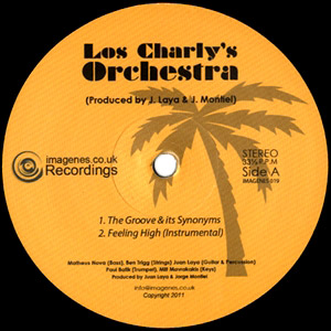 LOS CHARLY'S ORCHESTRA / ロス・チャーリーズ・オーケストラ / THE GROOVE & ITS SYNONYMS
