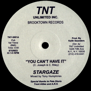 STARGAZE / スターゲイズ / YOU CAN'T HAVE IT (12") 