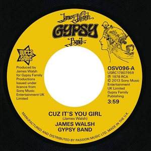 JAMES WALSH GYPSY BAND / ジェイムス・ウォルシュ・ジプシー・バンド / CUZ IT'S YOU GIRL + BRING YOURSELF AROUND (7”)