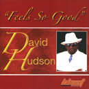 DAVID HUDSON / デイヴィッド・ハドソン / FEELS SO GOOD
