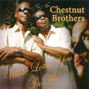 CHESTNUT BROTHERS / チェスナット・ブラザーズ / WHOLE LOTTA YOU IN ME