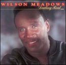 WILSON MEADOWS / ウィルソン・メドウズ / DEALING REAL