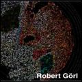 ROBERT GOERL / ロバート・ゴール / DARK TOOL SYMPHONY / ダーク・ツール・シンフォニー