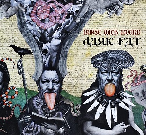 NURSE WITH WOUND / ナース・ウィズ・ウーンド / DARK FAT (CD)