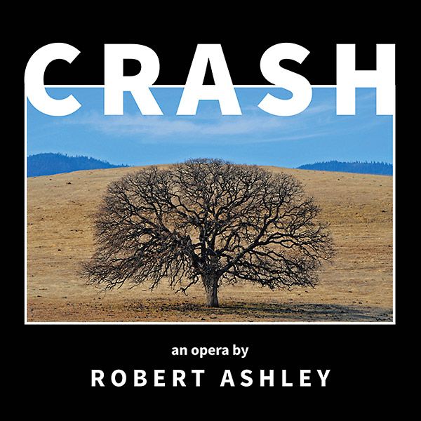 ROBERT ASHLEY / ロバート・アシュリー / CRASH (2CD)