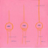 SWIRLIES / スワーリーズ / STRICTLY EAST COAST SNEAKY FLUTE MUSIC (LP)
