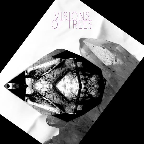 VISIONS OF TREES / VISION OF TREES