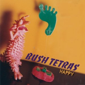 BUSH TETRAS / ブッシュ・テトラス / HAPPY (LP)