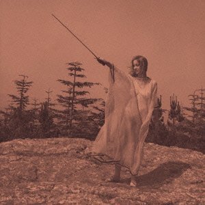 UNKNOWN MORTAL ORCHESTRA / アンノウン・モータル・オーケストラ / II (LP)