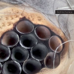 BIOMECHANICAL / バイオメカニカル / BM-01 (LP)