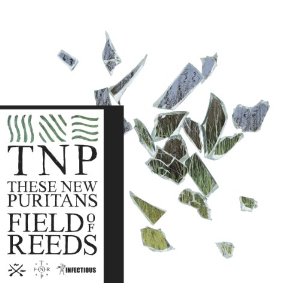 THESE NEW PURITANS / ジーズ・ニュー・ピューリタンズ / FIELD OF REEDS (LP)